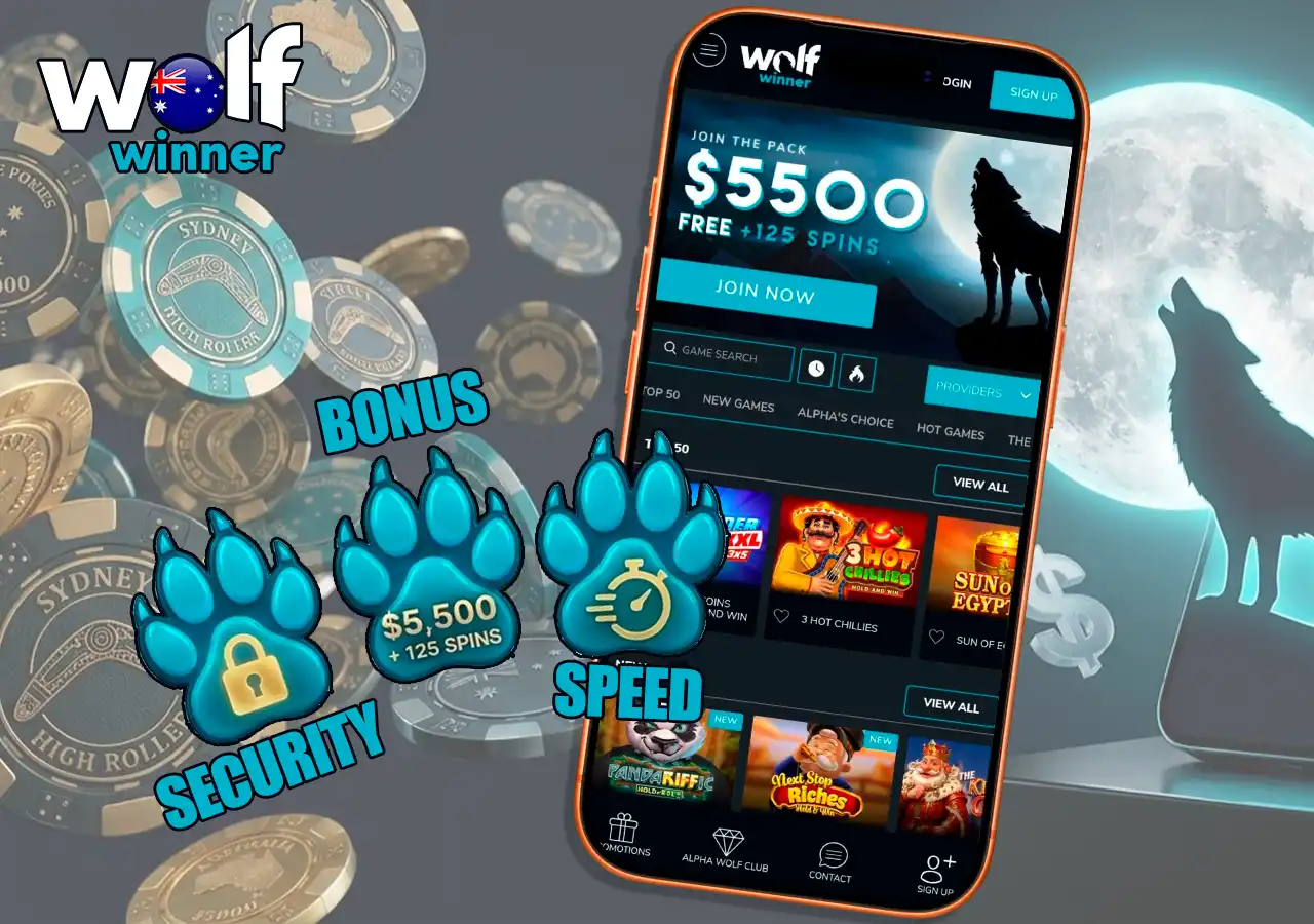 Main advantages and features of playing at Wolf Winner casino site.